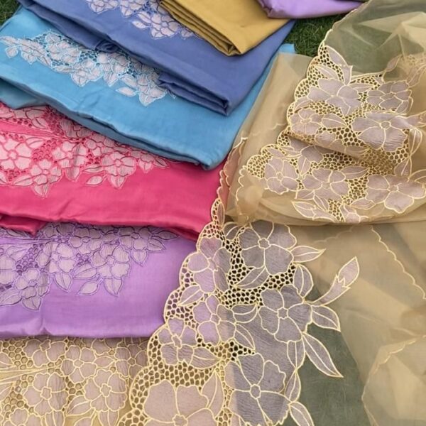 Stunning new collection of Pure Uppada silk top & Organza Duppatta with intricately done Appliqué & Cutwork embroidery & santoon bottom!