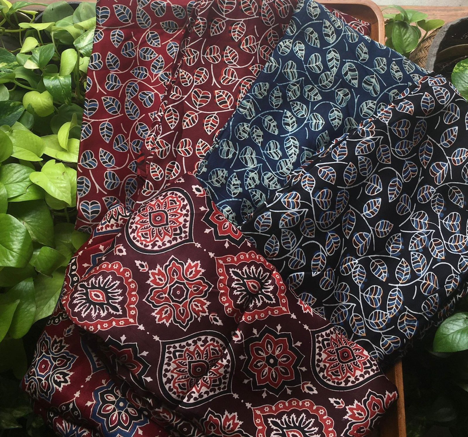 WhatsApp Image 2026-02-10 at 5.15.10 PM