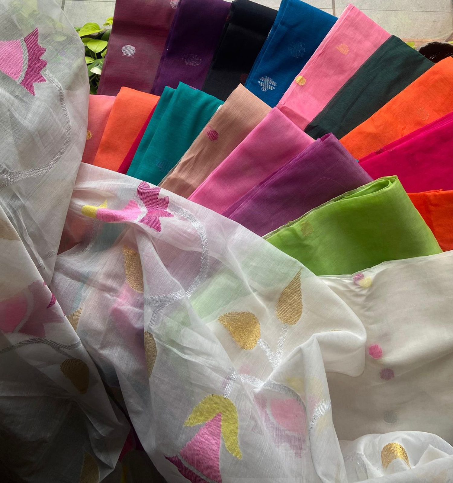 WhatsApp Image 2026-02-20 at 12.20.25 PM