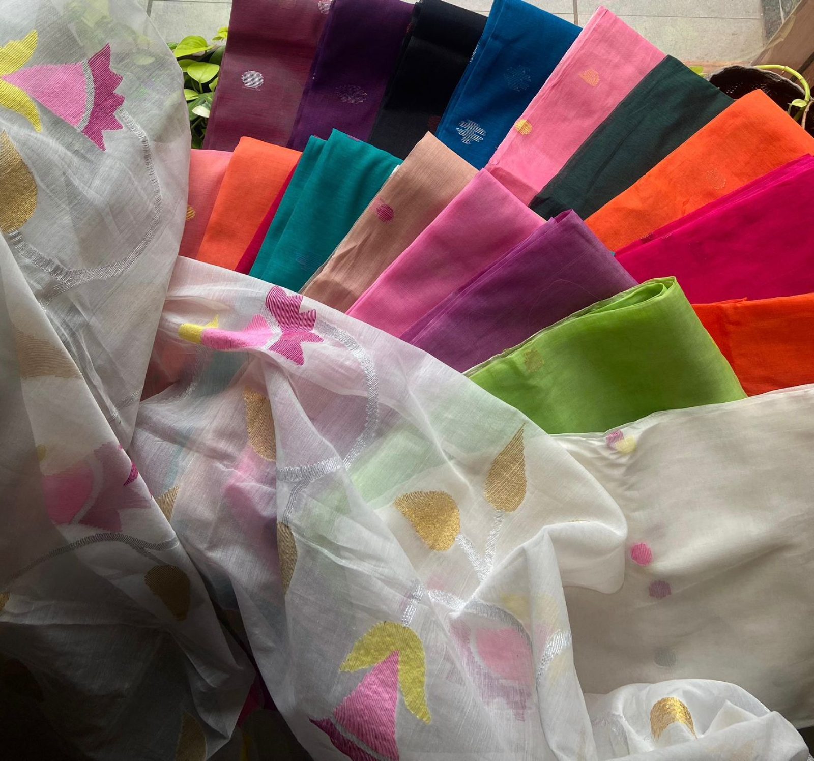 WhatsApp Image 2026-02-20 at 12.20.25 PM